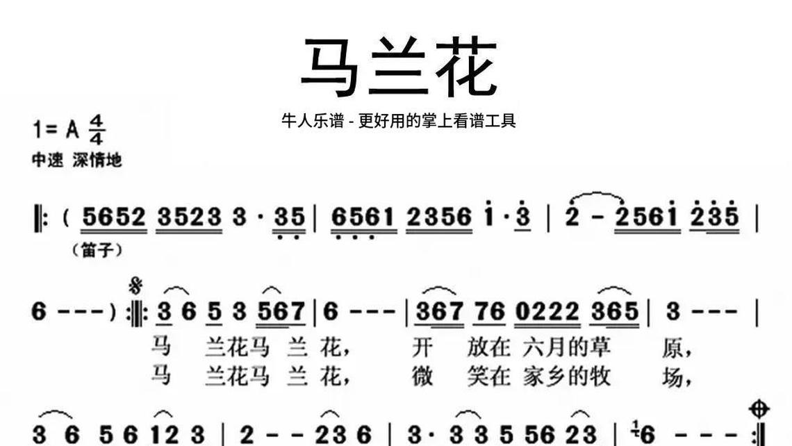 小苹果-牛人乐谱