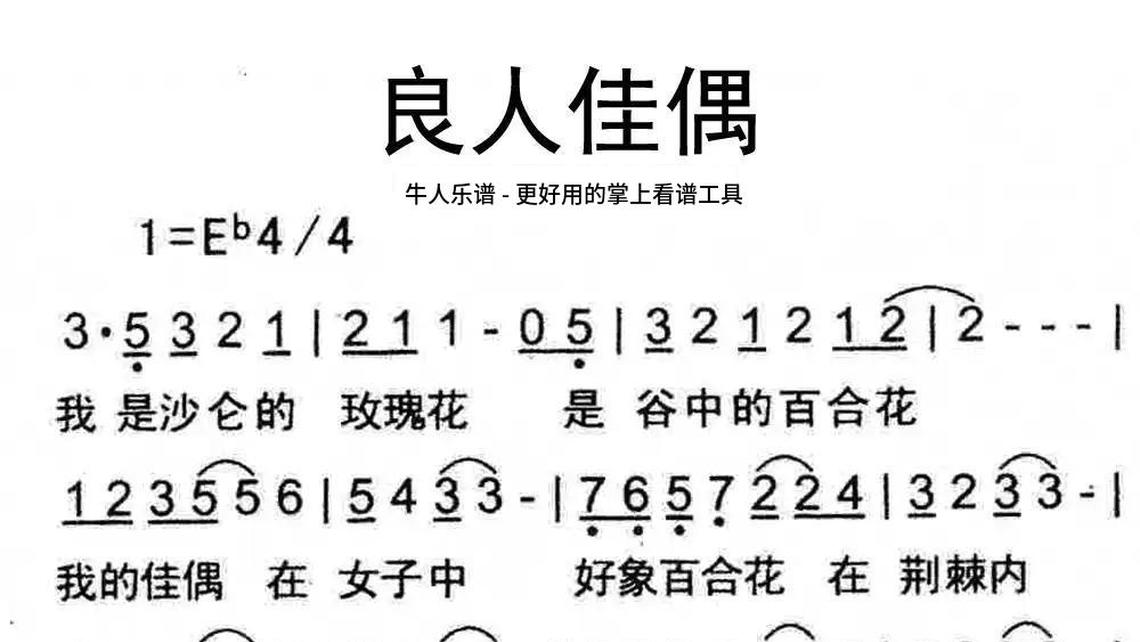 柳树姑娘-牛人乐谱