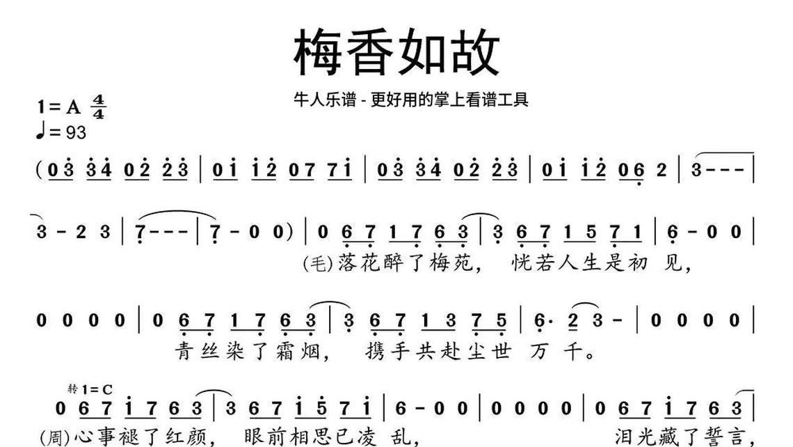 用心走天路(-牛人乐谱